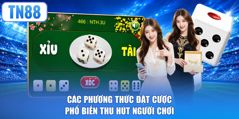 Các phương thức đặt cược phổ biến thu hút người chơi