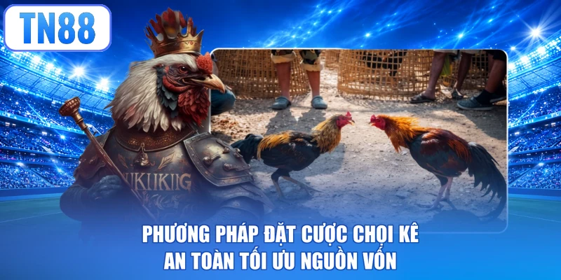 Phương pháp đặt cược chọi kê an toàn tối ưu nguồn vốn